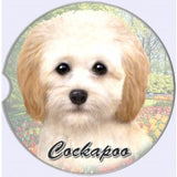 Cockapoo