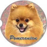 Pomeranian car coaster