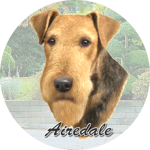 Airdale Car Coasters