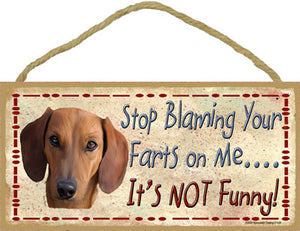 Stop blaming your farts- dachshund