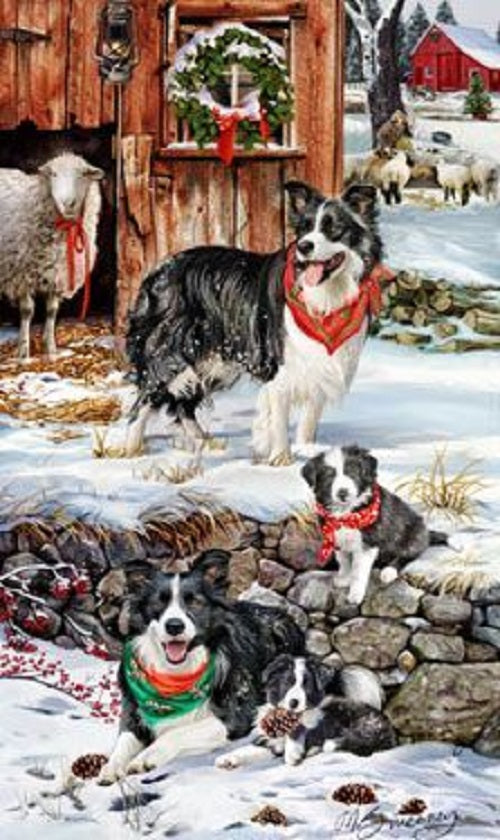 Border Collie Holiday Towel