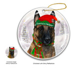 Belgian Malinois dog  Ornament