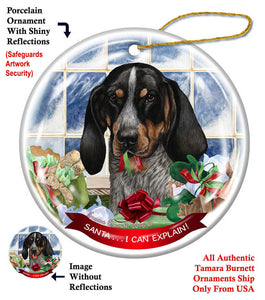Coonhound Blue tick Dog  Ornament