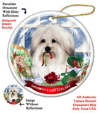 Coton De Tulear Dog  Ornament