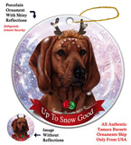 Coonhound  Redbone  Ornament